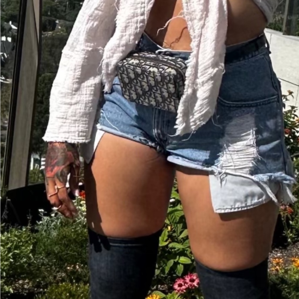 Dior mini belt satchel